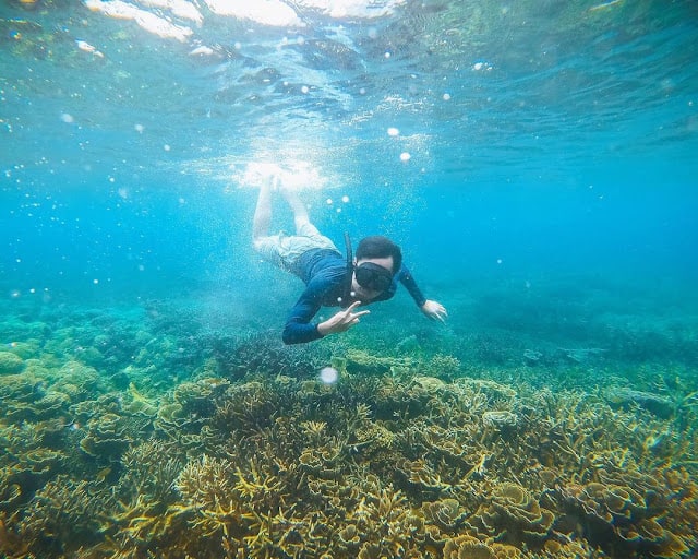 Wisatawan snorkeling melihat pemadangan habitat dan biota laut
