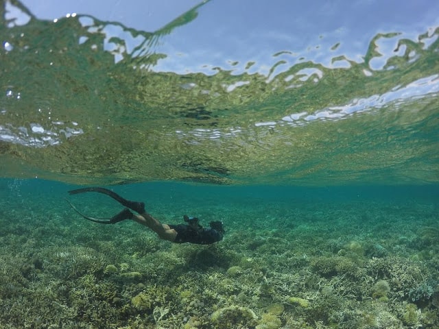 Penampakan dasar laut Gili Kondo penuh dengan habitat dan biota laut