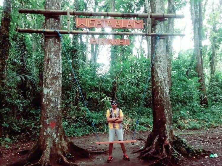 Wisatawan berdiri di depan ayunan dan pepohonan hutan