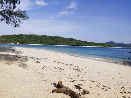 View hamparan pasir dan batang kayu di pinggir pantai Gili Nanggu