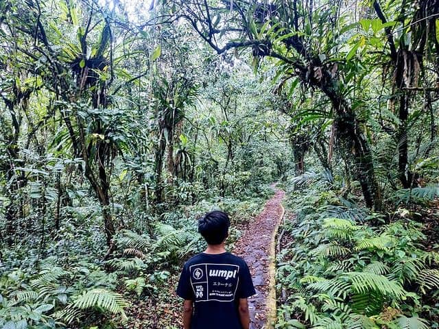 Seorang wisatawan menikmati keindahan alam hutan TNGR Jeruk Manis
