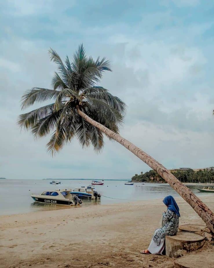 Wisatawan duduk di bawah pohon kelapa miring di Pantai Kecinan