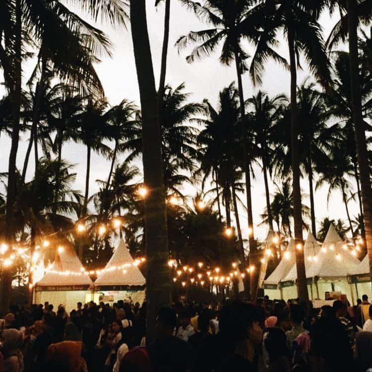 Pemandangan lampu-lampu diantara pepohonan kelapa