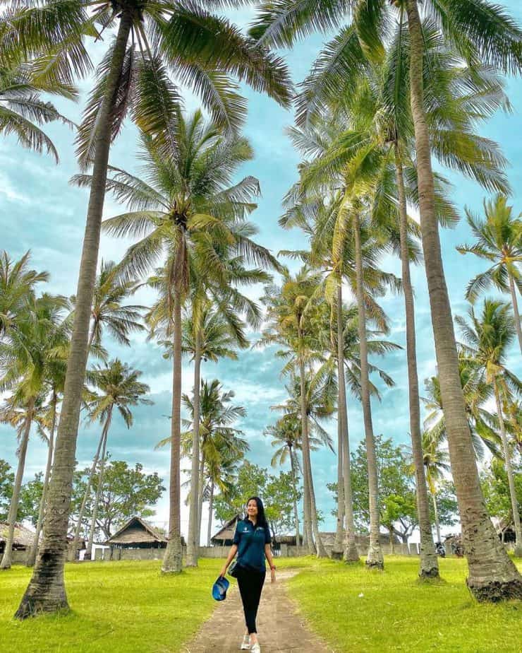 Wisatawan berdiri diantara pohon kelapa dan langit biru