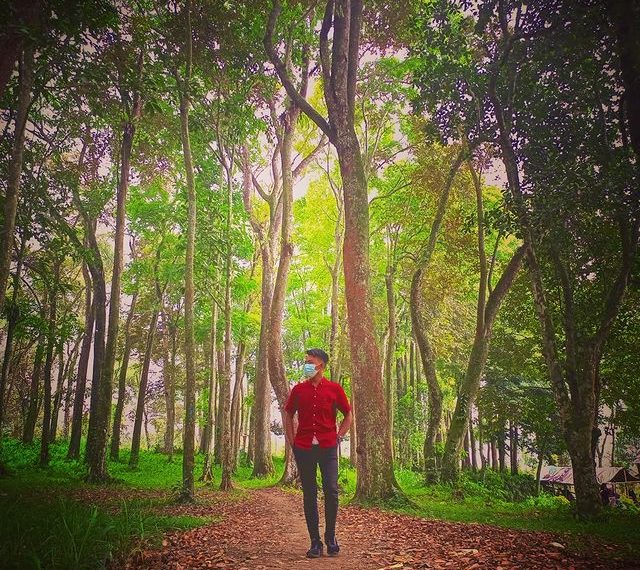 Seorang wisatawan pria berdiri menikmati suasan hutan eksotis