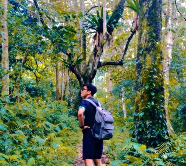 Wisatawan berjalan di hutan jalur trekking menuju Air Terjun Jeruk Manis