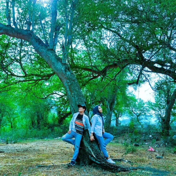 Dua orang pria dan wanita bersandar dibawah pohon rindang