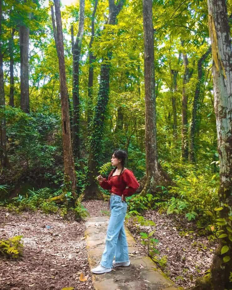 Berjalan jalan di tengah hutan Sesaot