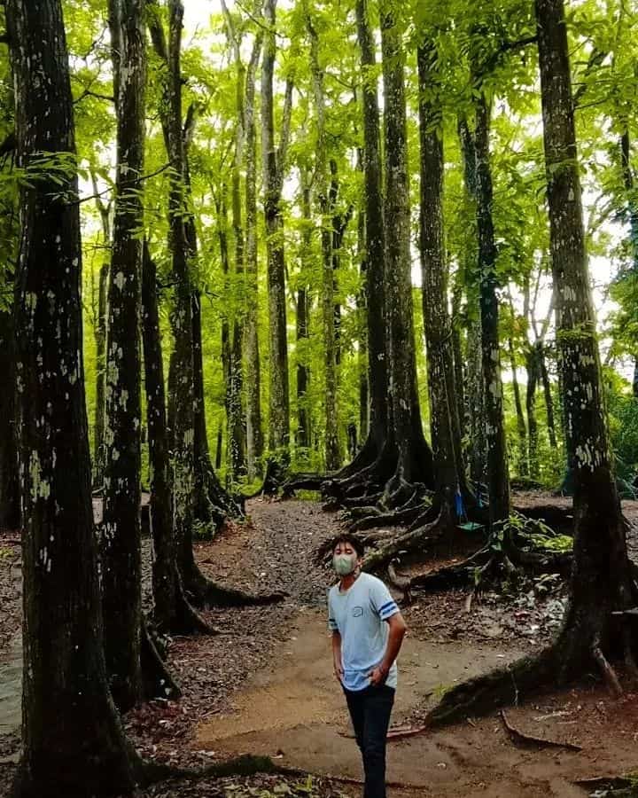 Wisatawan berada di tengah hutan Sesaot