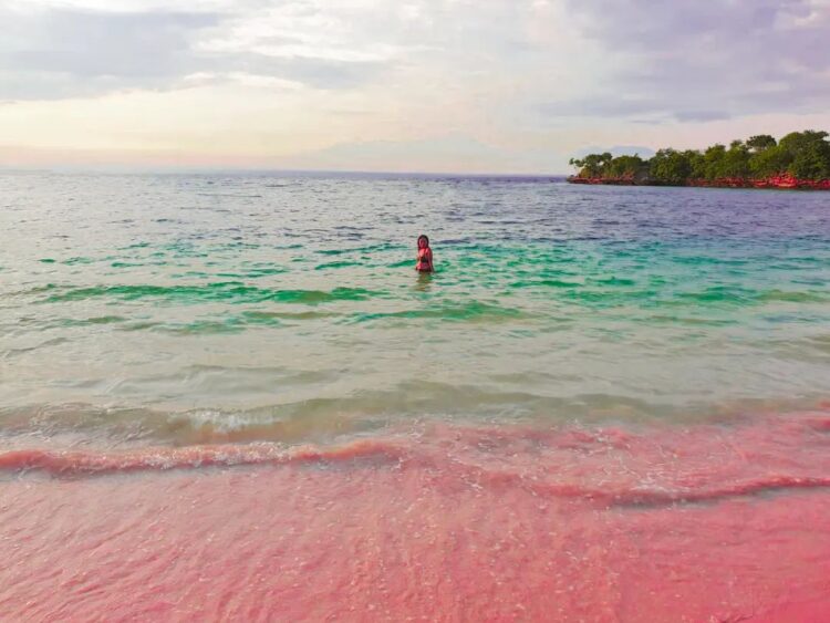 Air laut yang tenang di Pantai Pink Lombok