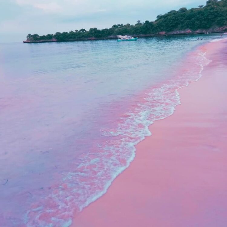 Hamparan pasir pantai berwarna merah muda dan ombak laut yang tenang