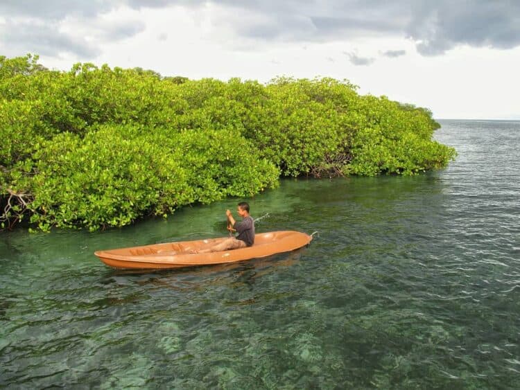 Pengunjung mengelilingi mangrove Gili Lawang
