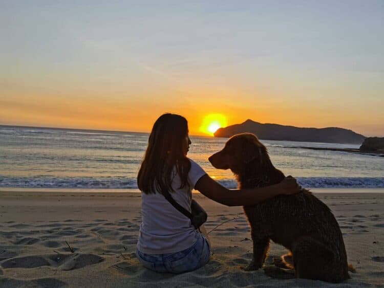 Wisatawan bersama seekor anjing duduk di tepi Pantai Rantung