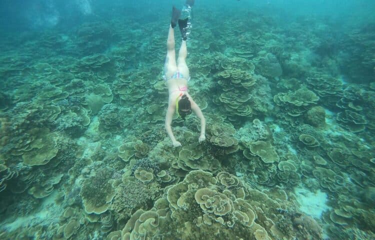 Terumbu karang yang subur di dasar laut Gili Trawangan