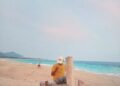 Wisatawan menggunakan baju kuning melihat ke arah lautan dan duduk dibatang kayu