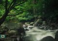 Keindahan aliran air sungai dan pepohonan di Taman Wisata Alam Semongkat