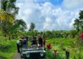 Wisatawan asing berdiri diatas mobil mengelilingi Desa Tetebatu
