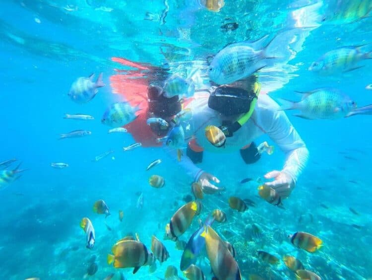 Wisatawan memberi makan ikan di dasar laut Gili Air