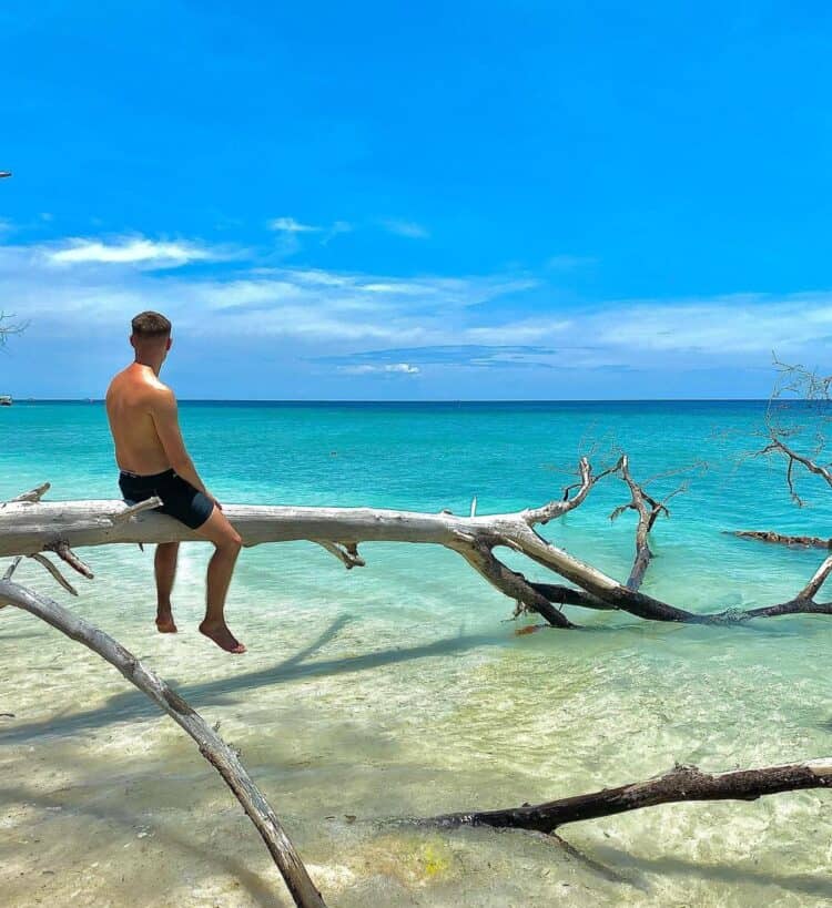 Seorang pria duduk di batang kayu berwarna putih di pantai