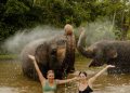Wisatawan memandikan gajah di kolam Bali Zoo Park