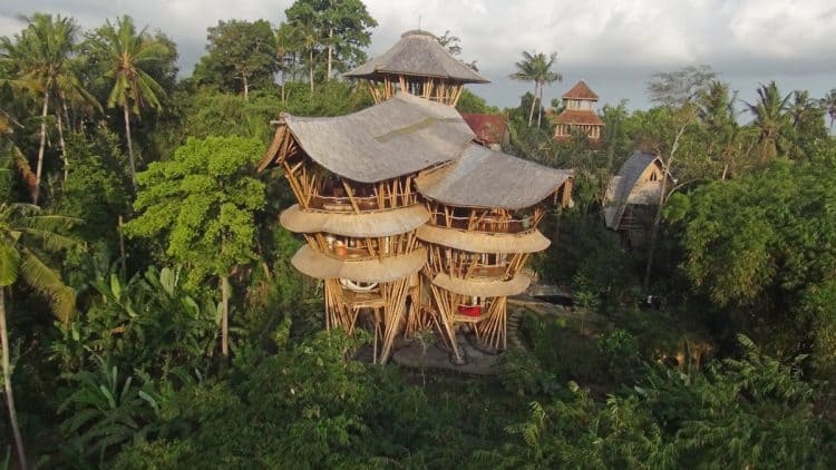 Bali Sharma Springs Bamboo