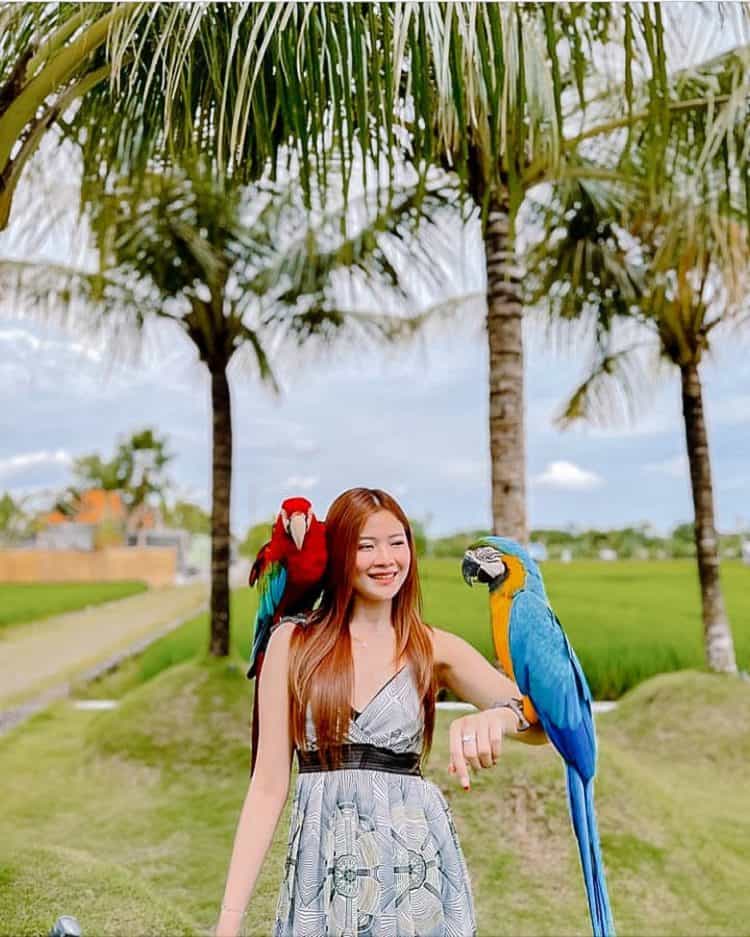 Wisatawan asing memegang dua burung berwarna warni di tangannya