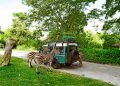 Mobil untuk mengelilinggi kawasan Bali Safari