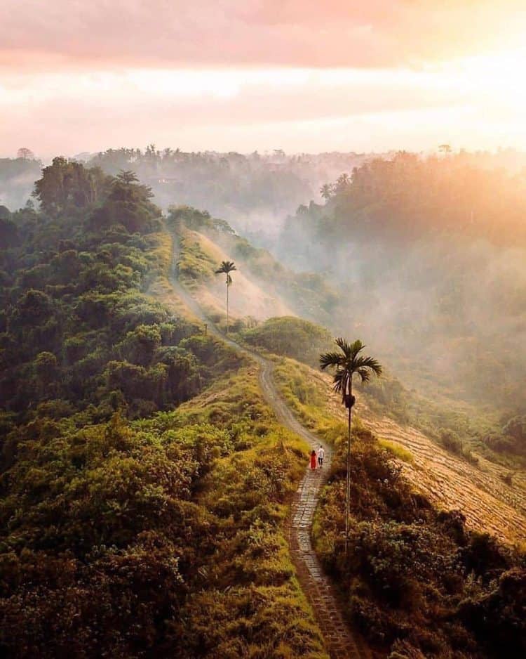 Pemandangan matahari terbit dan kabut diatas sebuah bukit di Ubud