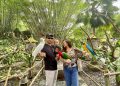 Wisatawan bermain dengan burung yang ada di Bali Safari
