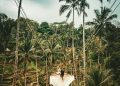 Ayunan Sawah Terasering Tegalalang Bali