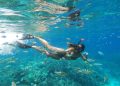Snorkeling di Nusa Lembongan Bali