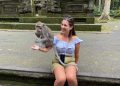 Wisatawan memberi makan monyet di sekitar kuil Objek Wisata Sangeh